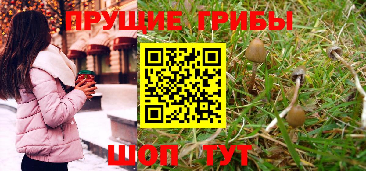 Псилоцибиновые грибы GOLDEN TEACHER  Вход с VPN  наркотики  Бутурлиновка 