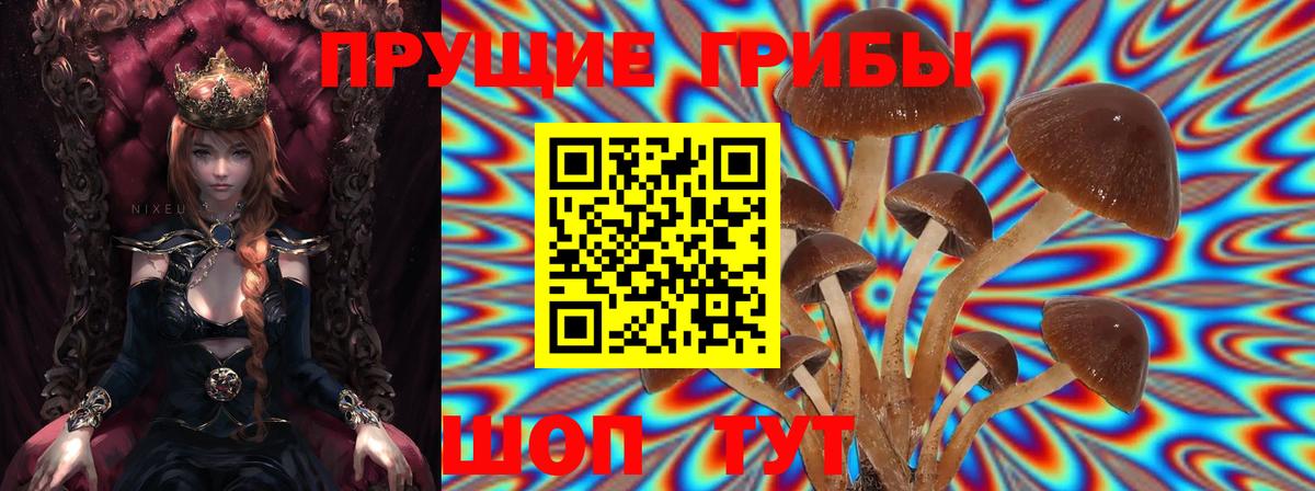 Псилоцибиновые грибы прущие грибы Бутурлиновка